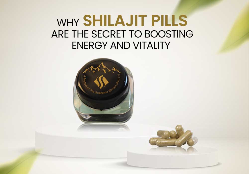 Shilajit pills