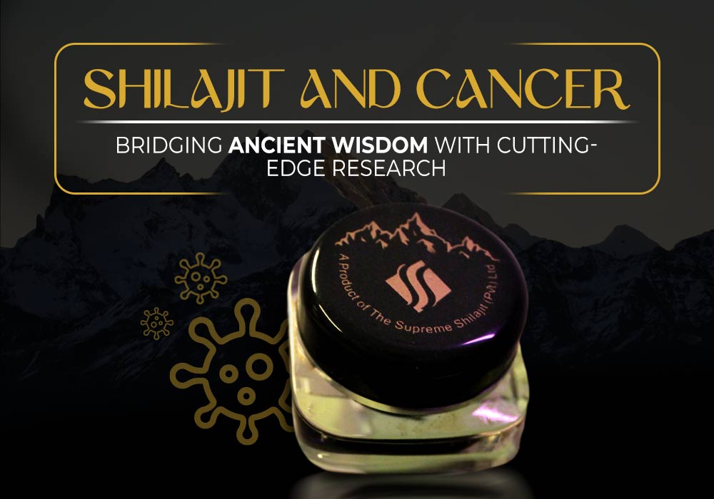 Shilajit And Cancer
