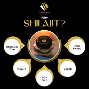 himalayan healing shilajit