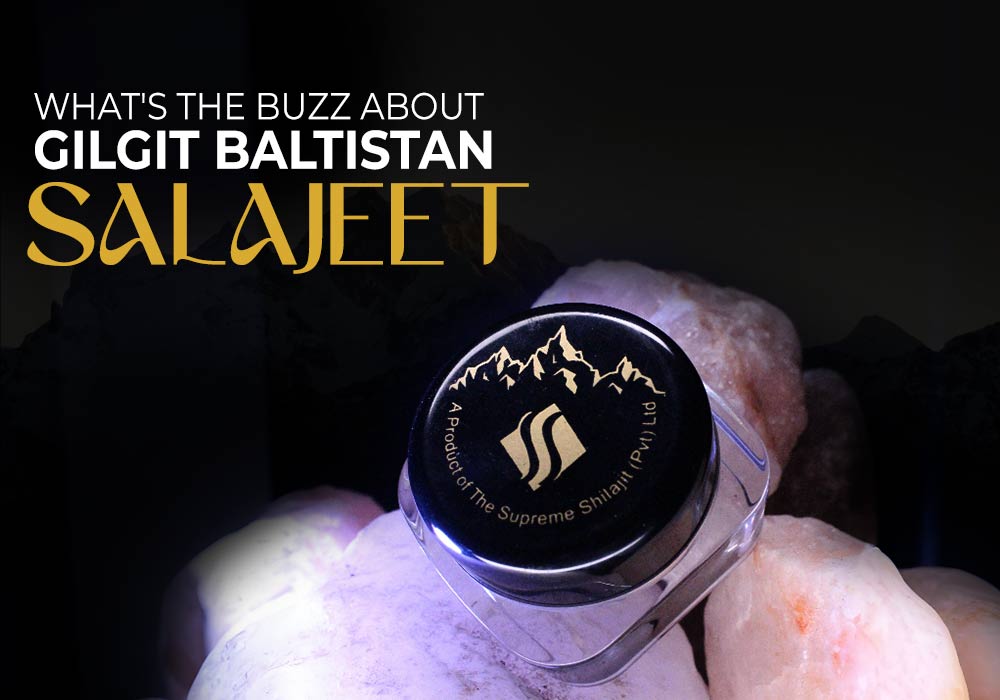 Gilgit Baltistan Salajeet