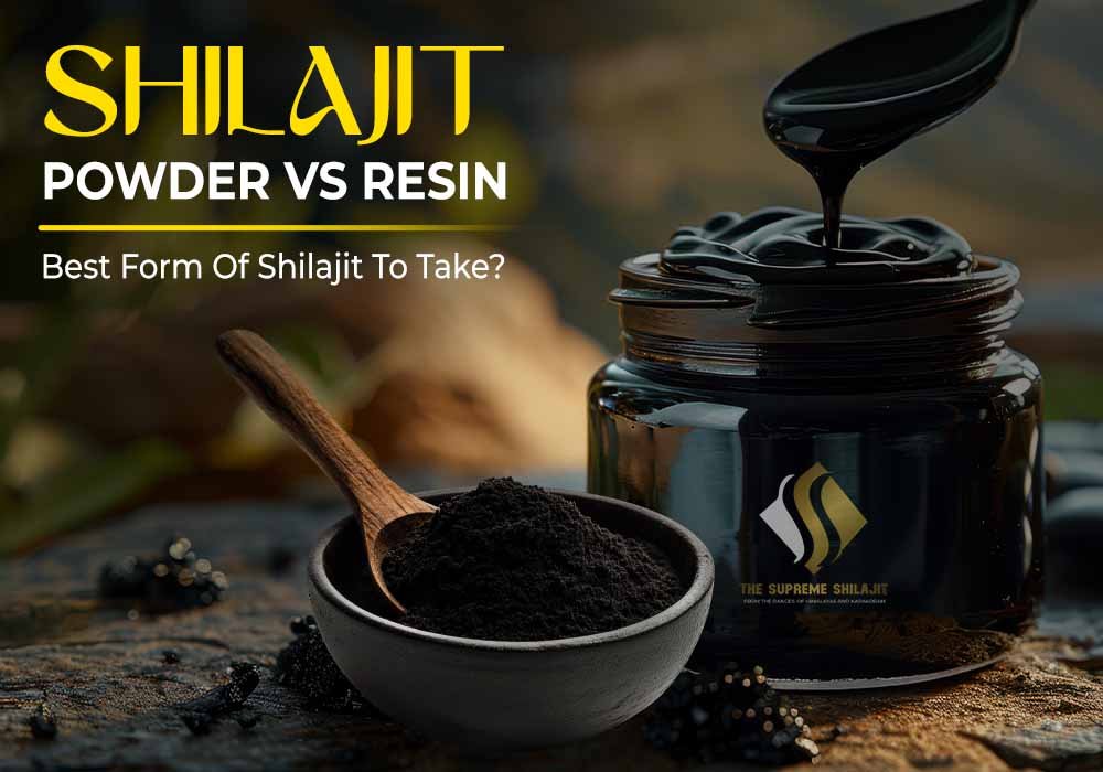 Shilajit powder vs resin comparison showing texture, color, and form.