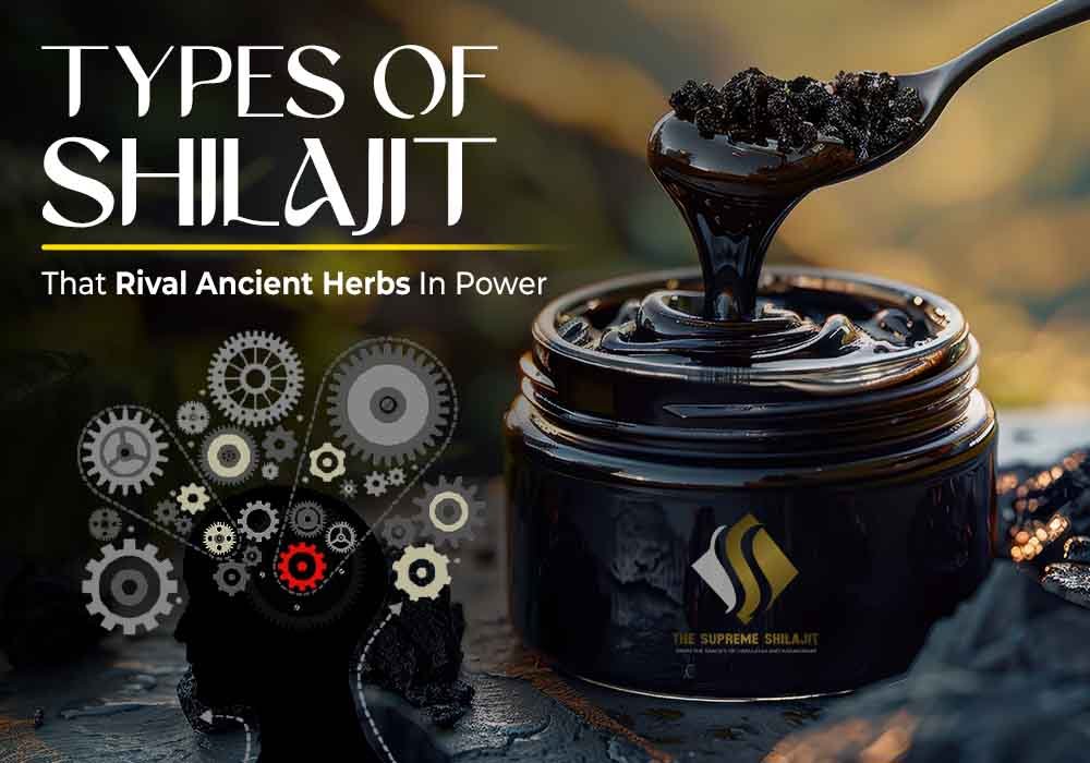 Different types of Shilajit in natural forms.