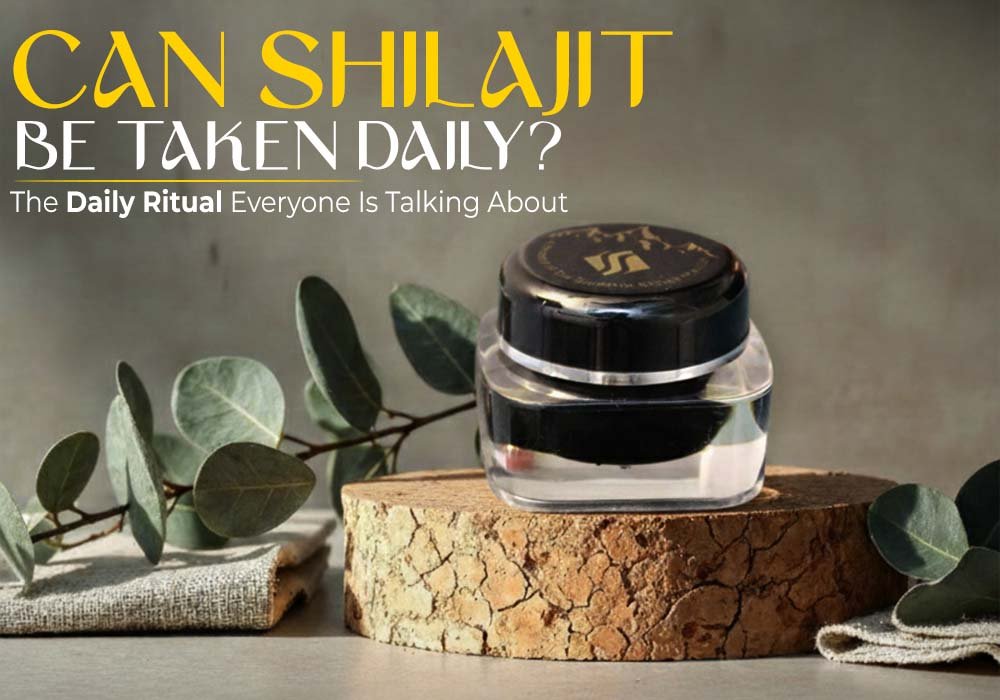 shilajit daily dose - Supreme Shilajit