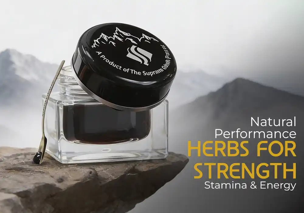 Shilajit and Ginseng benefits - Supreme Shilajit