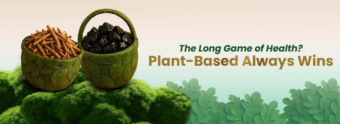 moringa leaf powder - Supreme Shilajit