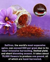 zafran price - Supreme Shilajit